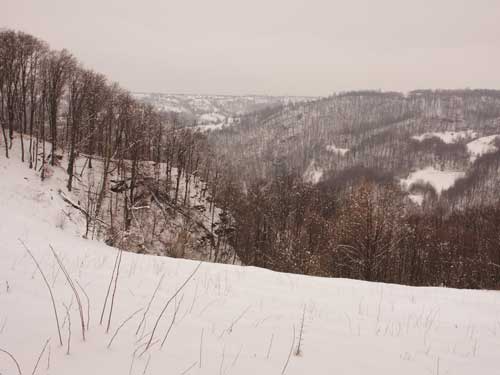 Foto Vedere peste Curtea Capitanului (c) Petru Goja